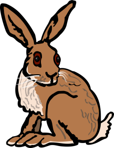 rabbit-1294977_1280